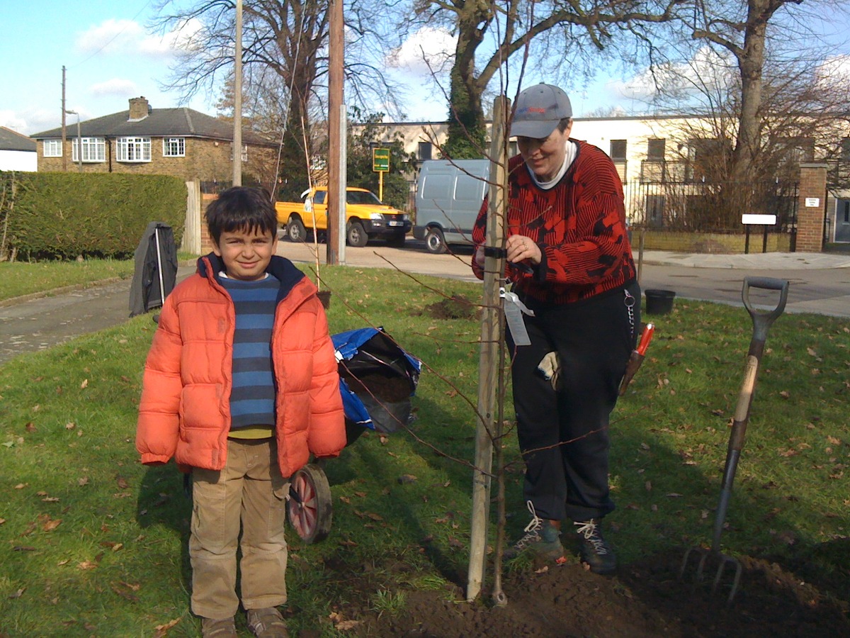 Planting Crab Apple trees on the corner of Craig / Randel Road